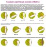 Little One Палочки с фруктами и орехами для хомяков, крыс, мышей и песчанок, 2*60 гр