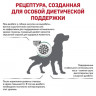 Сухой ветеринарный корм для собак при сахарном диабете Royal Canin (Diabetic DS37)