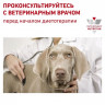 Сухой ветеринарный корм для собак при сахарном диабете Royal Canin (Diabetic DS37)