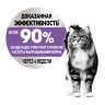 Royal Canin Паучи Кусочки в ЖЕЛЕ для кошек, рекомендуется для контроля выпрашивания корма (Appetite Control Care Gravy), 85 г