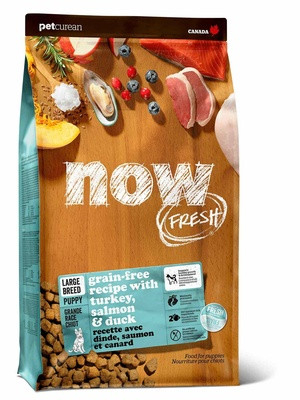 Сухой корм NOW FRESH БЕЗЗЕРНОВОЙ с ИНДЕЙКОЙ, УТКОЙ и овощами, для ЩЕНКОВ КРУПНЫХ пород (Fresh Puppy Large Breed Recipe Grain Free 29/16)