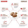 Полнорационный сухой PREMIUM корм SIRIUS для взрослых кошек, Мясной рацион