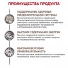 Сухой веткорм Royal Canin для собак при нарушении пищеварения (Gastro Intestinal Gl 25)
