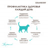 Сухой корм Grandorf ЯГНЕНОК с ИНДЕЙКОЙ для взрослых ДОМАШНИХ кошек (CAT Lamb&Turkey INDOOR)