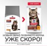 Hill's Science Plan Сухой корм с ИНДЕЙКОЙ и КУРИЦЕЙ для пожилых кошек - ВЫВОД ШЕРСТИ (Mature Hairball), 1,5 кг