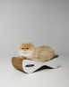 Tommy Cat Когтеточка из картона "Дроп" для кошек, 54*14*22см